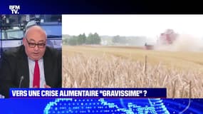 Vers une crise alimentaire "gravissime" ? - 21/03 