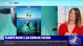 Le documentaire "Planète bleue 2", au cœur de l'océan, sera diffusé sur grand écran à l'AccorHotels Arena le 11 mars prochain
