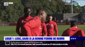 Ligue 1: Le LOSC affronte Reims dans un match compliqué