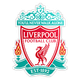 Liverpool U19