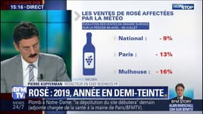 2019, année en demi-teinte pour les vins rosés 