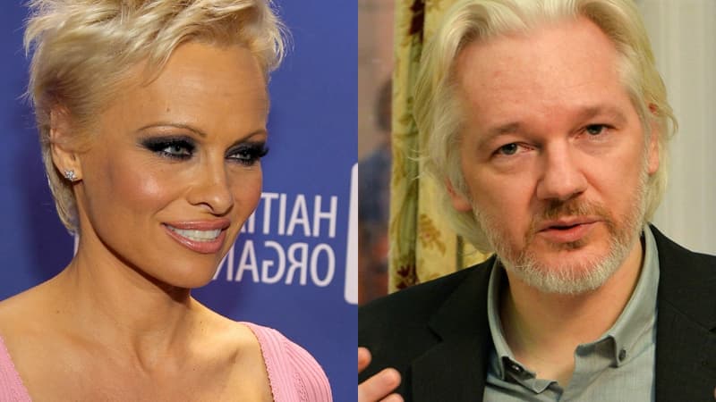 L'actrice Pamela Anderson entretiendrait une liaison avec le fondateur de Wikileaks, Julian Assange. 