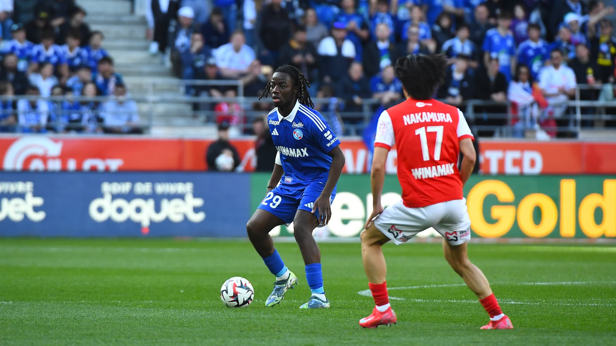le havre Pins Montpellier、Strasbourg Leads、Auxerre、Rennes