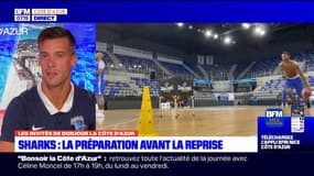 Dans quel état d'esprit se trouvent les basketteurs des Sharks d'Antibes avant la reprise?