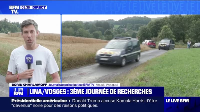 Disparition de Lina: les recherches reprennent en forêt d'Anould dans les Vosges