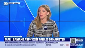 Annalisa Cappellini : Mali, Bamako asphyxiée par les Ddjihadistes - 10/11