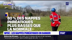 Hauts-de-France: le niveau des nappes phréatiques inquiète