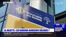 Marseille: les gabians pourraient être bientôt délogés de la tour Mirabeau II