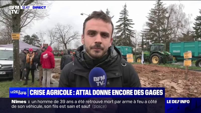 Colère des agriculteurs: une prairie installée devant la préfecture d'Ille-et-Vilaine