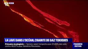 Aux Canaries, la lave du volcan Cumbre Vieja a atteint l'océan Atlantique