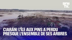 Tempête Ciarán: dans les Côtes-d'Armor, l'Ile aux Pins a perdu presque l'ensemble de ses arbres