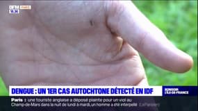 Val-de-Marne: un premier cas de dengue autochtone détecté à Limeil-Brévannes