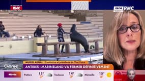 Antibes: le Marineland va fermer ses portes, une centaine de salariés licenciés ?