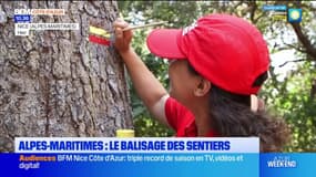 Alpes-Maritimes: des bénévoles entretiennent le balisage des sentiers