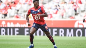 Jonathan David - Lille 