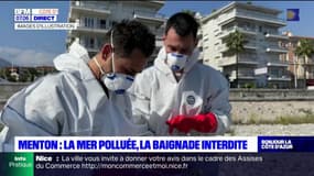 Menton: une pollution marine détectée, la baignade interdite