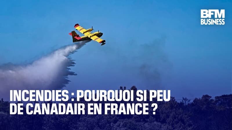 Incendies : pourquoi si peu de Canadair en France ?