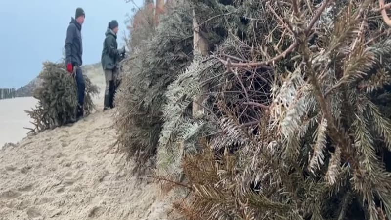 Wissant: des habitants continuent de lutter contre l'érosion sur le littoral