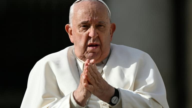 Le pape François au Vatican, le 27 novembre 2024