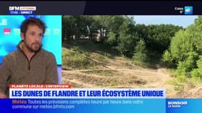 Planète Locale du mercredi 4 décembre - Les Dunes de Flandre et leur écosystème unique 