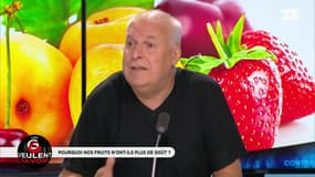 Sur RMC, la patronne de la FNSEA s'agace: "Pendant que vous philosophez, moi je cherche des solutions"
