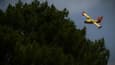 Un Canadair survole la forêt, près du Pyla-sur-Mer, en Gironde, le 19 juillet 2022 