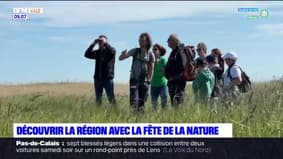 Pas-de-Calais: découvrir la région avec la fête de la nature