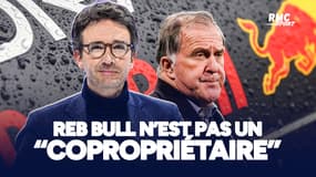 Paris FC : Actionnaire minoritaire, Red Bull n'est pas un "copropriétaire" martèlent Ferracci et Arnault