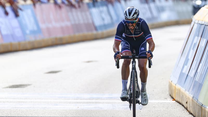 Alaphilippe