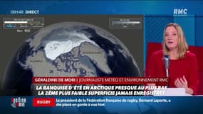 "Du jamais vu depuis 1000 ans!": la banquise d'été de l'Arctique au deuxième plus bas niveau jamais observé