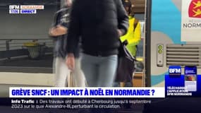 Normandie: le trafic des trains Nomad sera normal malgré la grève à la SNCF