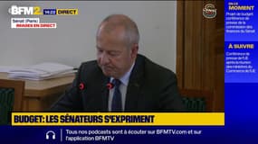 Budget : la commission des finances du Sénat propose de relever la taxe sur les petits colis à 5€