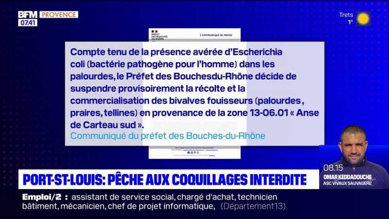 Port-Saint-Louis-du-Rhône: des coquillages interdits de commercialisation après la découverte d'une bactérie