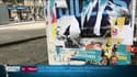Un panneau d'affiches politiques déchirées à Marseille