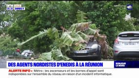 Une vingtaine d'agents Enedis du Nord envoyés en renfort à La Réunion pour le cyclone Belal