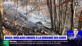 Draix : brûlages dirigés à la demande des agris