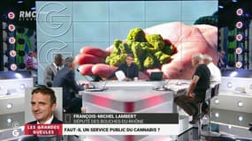 Faut-il un service public du cannabis? "On contrôlerait de la production de la graine jusqu’à la vente"