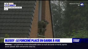 Blessy: le forcené qui a blessé trois gendarmes placé en garde à vue pour "tentatives d'homicides"