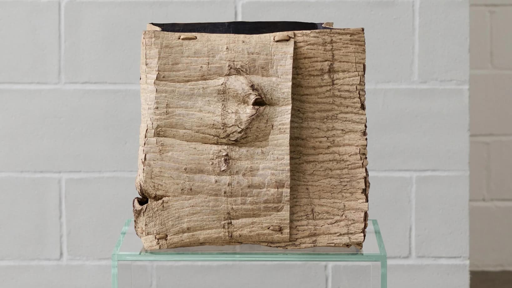 L'œuvre "Transfer Surface" par Moe Watanabe, ayant remporté la mention spéciale de la Loewe Foundation. L'œuvre "Transfer Surface" par Moe Watanabe, ayant remporté la mention spéciale de la Loewe Foundation.