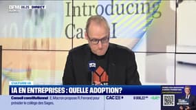 Culture IA : IA en entreprises, quelle adoption ?, par Anthony Morel - 11/02