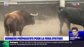 Derniers préparatifs pour le Feria d'Istres