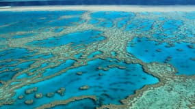 La Grande barrière de corail au large de l'Australie