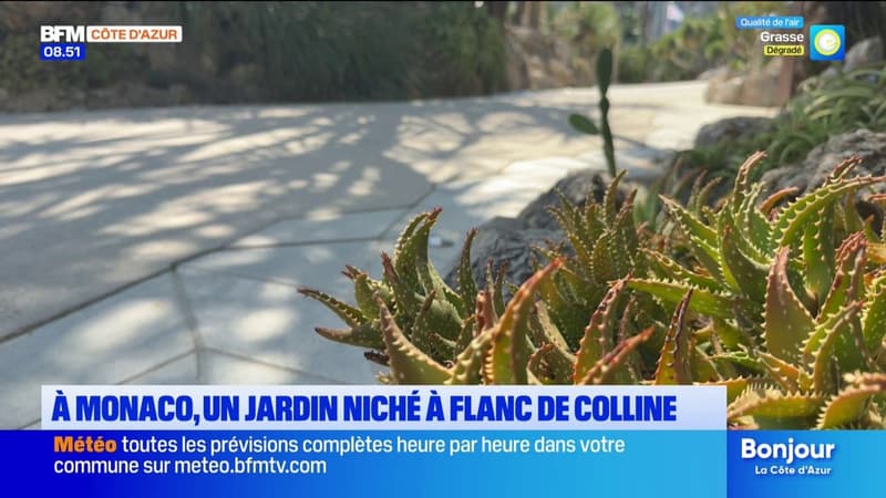 L'été chez nous : on vous emmène découvrir le Jardin Exotique de Monaco
