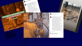 Exemples de publications de photos pour appeler les internautes à donner aux associations agissant en Australie