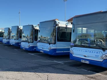 Des bus du réseau Mistral de la métropole de Toulon (image d'illustration)