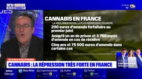 "Interdire un produit ne fonctionne pas", analyse l'adjoint au maire de Strasbourg sur la question du cannabis