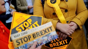 Lors de sa campagne, le parti Libéral Démocrate britannique a milité contre le Brexit, ici le 22 mai à Londres