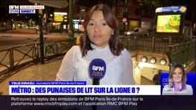 Paris: des soupçons de punaises de lit sur la ligne 8 du métro