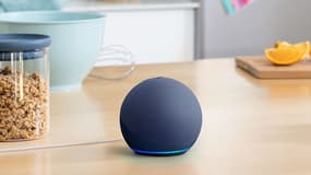 L'enceinte Amazon Echo Dot