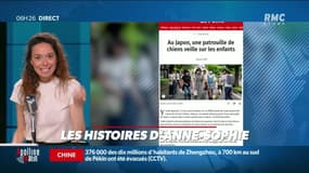 Les histoires d'Anne-Sophie Balbir : La "Pat' Patrouille" existe réellement au Japon - 22/07